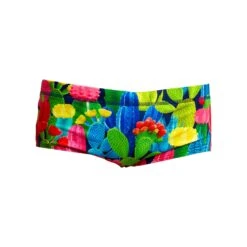 Funky Trunks Cacti High | Boys Sidewinder Trunks